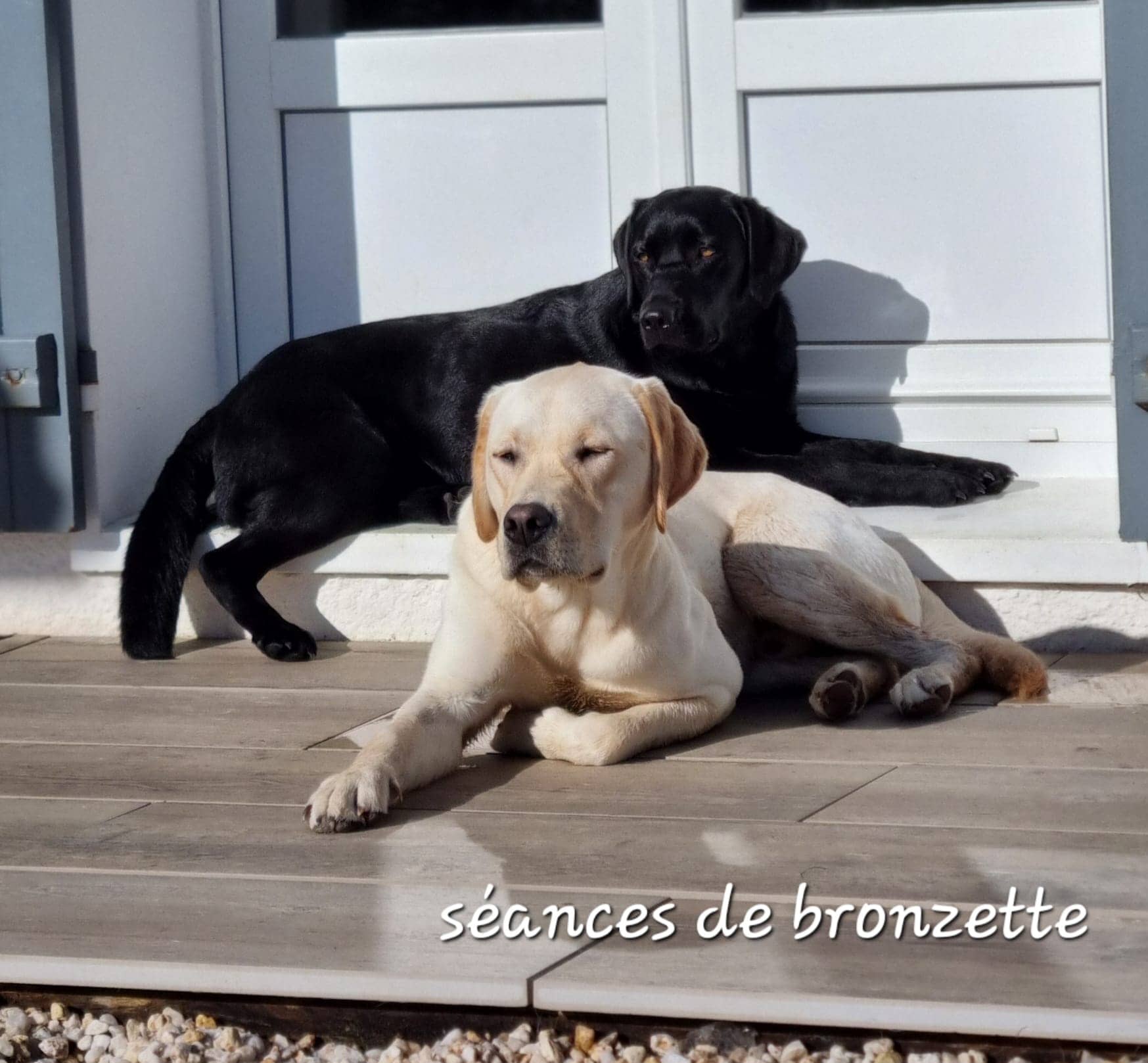 Bronzette de Raya et compagnie