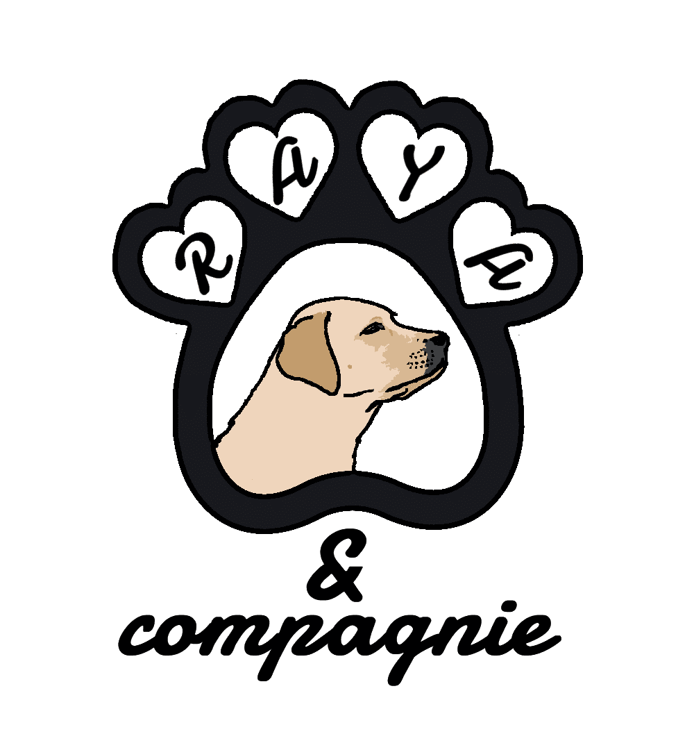 Logo Raya et Compagnie