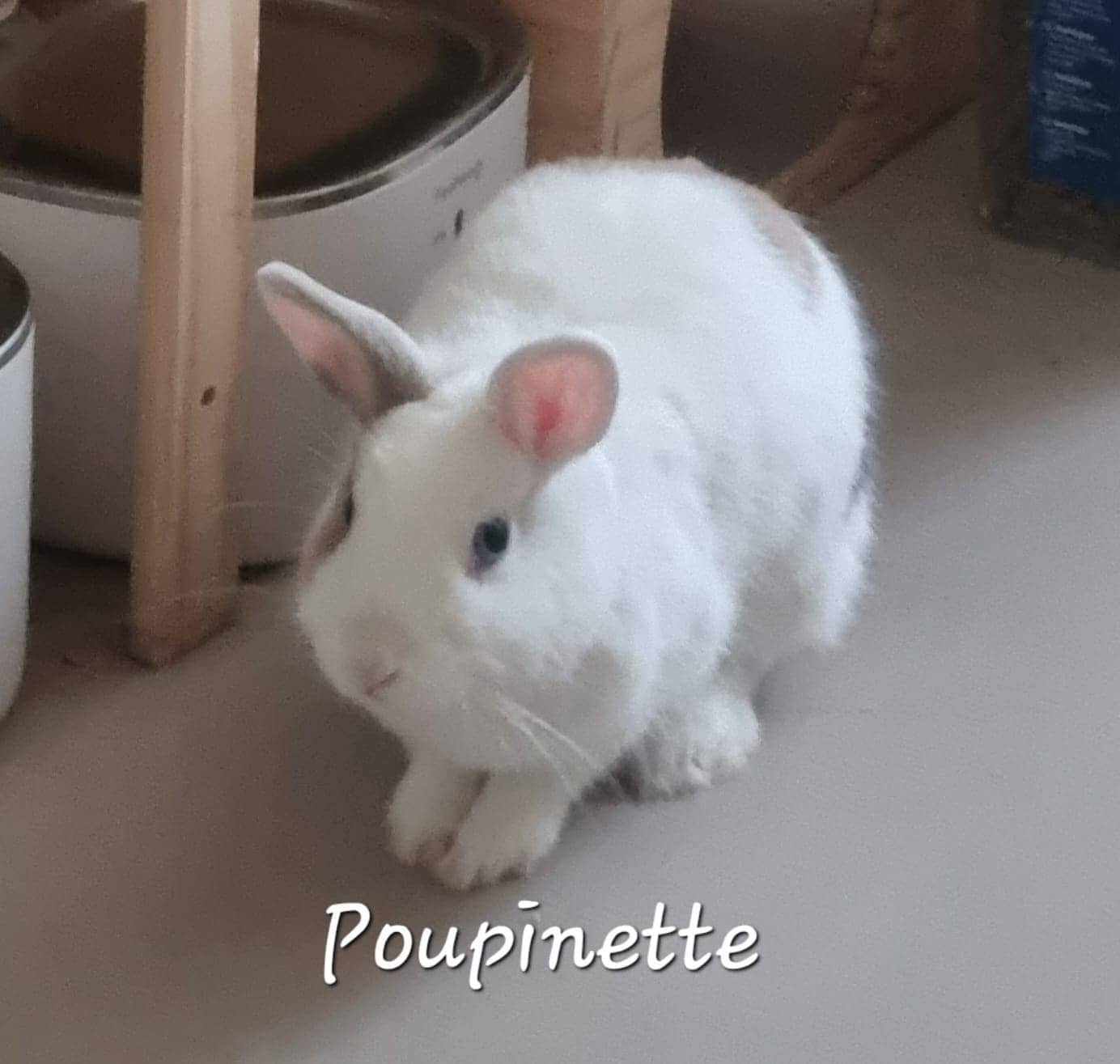 Poupinette de Raya et compagnie