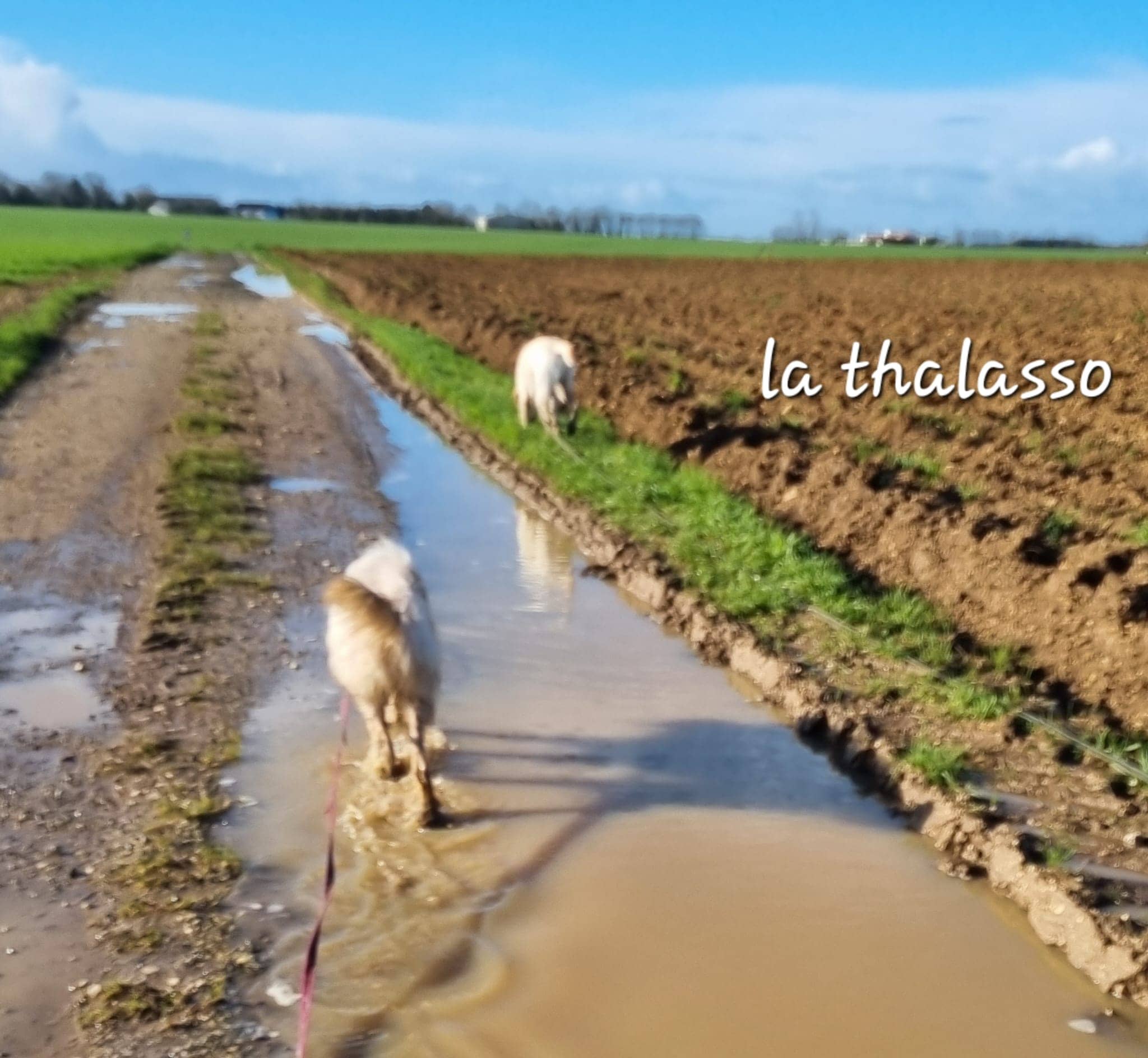 Thalasso de Raya et compagnie